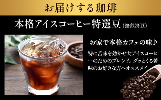 本格アイスコーヒー特選豆 500g 豆 ＆ 古墳珈琲ドリップバッグ 1袋 株式会社ばいせん工房 珈琲倶楽部《30日以内に出荷予定(土日祝除く)》大阪府 羽曳野市 コーヒー 豆 アイスコーヒー 特選豆