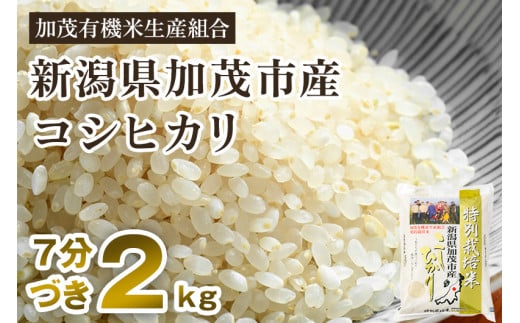 【令和6年産新米先行予約】【7分づき】新潟県加茂市産 特別栽培米コシヒカリ 精米 2kg 従来品種コシヒカリ 加茂有機米生産組合