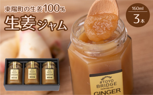 東陽町の生姜100％ 生姜ジャム 3本セット 合計480ml（160ml×3本） 