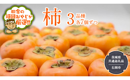 柿 3品種食べ比べ(各7個)【令和6年10月中旬より発送開始】（茨城県共通返礼品：石岡市産） 果物 フルーツ 茨城県産