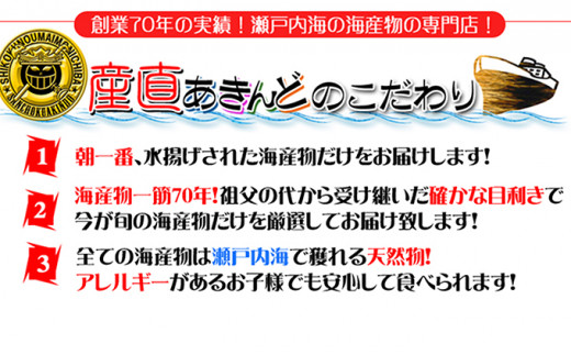 ［頒布会3回］瀬戸内海産の海産物の詰め合わせ（下処理アリ）