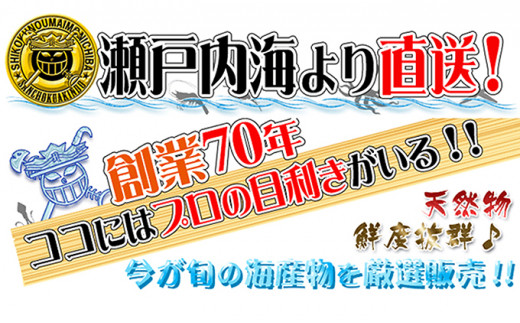 ［頒布会3回］瀬戸内海産の海産物の詰め合わせ（下処理アリ）