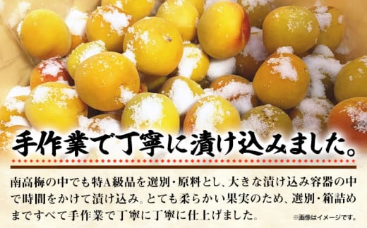 梅干し 甘口しそ梅干し 1kg 中玉 2L 和歌山県産 株式会社とち亀物産 《30日以内に出荷予定(土日祝除く)》 和歌山県 日高町 梅 うめ しそ 梅干し うめぼし 紀州南高梅 漬物 漬け物 ごはんのお供