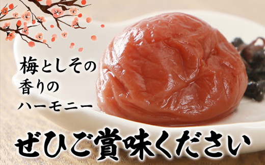 梅干し 甘口しそ梅干し 1kg 中玉 2L 和歌山県産 株式会社とち亀物産 《30日以内に出荷予定(土日祝除く)》 和歌山県 日高町 梅 うめ しそ 梅干し うめぼし 紀州南高梅 漬物 漬け物 ごはんのお供