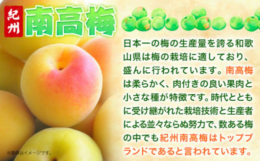 梅干し 甘口しそ梅干し 1kg 中玉 2L 和歌山県産 株式会社とち亀物産 《30日以内に出荷予定(土日祝除く)》 和歌山県 日高町 梅 うめ しそ 梅干し うめぼし 紀州南高梅 漬物 漬け物 ごはんのお供