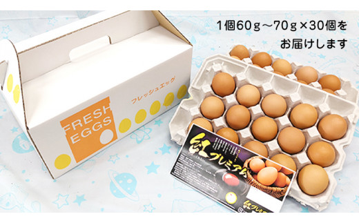 紅プレミアム 卵 30個 （ 25個 入り ＋ 割れ保障 5個 ） 独自飼料 濃厚 おいしい玉子 玉子 たまご サンサンエッグ タンパク質