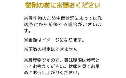 【南信州高森産】シナノゴールド5kg 秀＜10月下旬発送＞