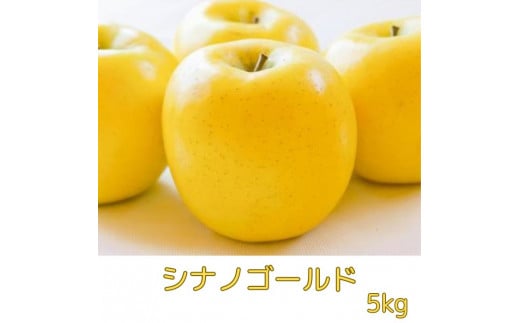 【南信州高森産】シナノゴールド5kg 秀＜10月下旬発送＞