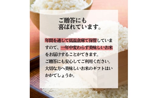 新米 白米 特別栽培米 秋田県産 あきたこまち 米屋が認めたお米 「かとうくん」10kg（5kg×2袋）