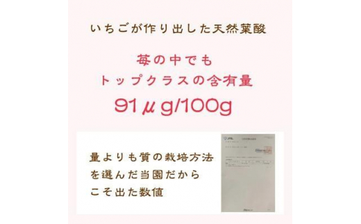 いちご 雪国完熟いちご越後姫 約170g×2P 苺 イチゴ フルーツ 完熟 越後 新潟