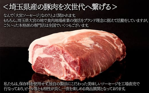 【大宮ソーセージ】バラエティセット (ソーセージ・ハム・ベーコン)　【11100-1440】
