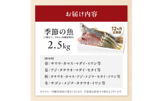 【12ヶ月定期便】大和海商の朝どれ鮮魚直送定期便2.5kg N072-YZG0141