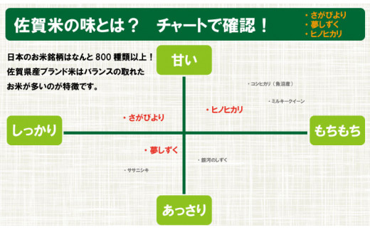 【定期便】(12ヶ月連続お届け)  佐賀のうまか米 毎月お届け便 （10kg×12回）白米