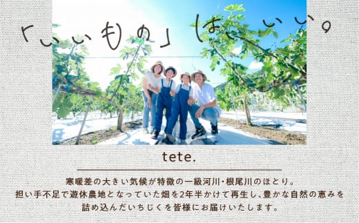 【年内発送】《先行予約》【令和6年産】tete.の グラノーラ | 無花果 イチジク 高級品 くだもの 果物 フルーツ ドライフルーツ 朝食 tete. [mt495] 4000円 4千円 2024年 年末 年内配送 年内お届け