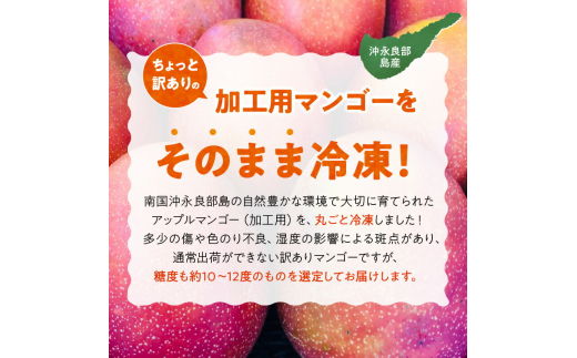 【2025年先行予約】「訳あり」加工用冷凍マンゴー1.5kg（3～4玉）/沖永良部島産　W009-079u