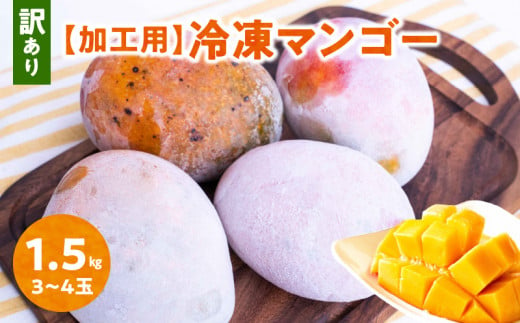 【2025年先行予約】「訳あり」加工用冷凍マンゴー1.5kg（3～4玉）/沖永良部島産　W009-079u