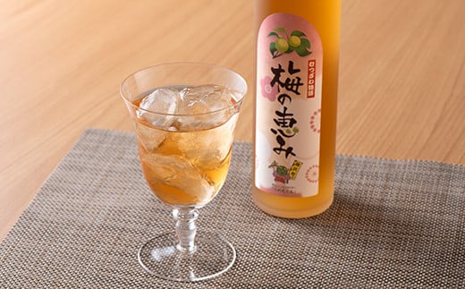 むつざわ物語 梅酒「梅の恵み」500ml×2本 F21G-092