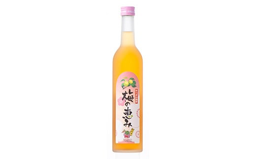 むつざわ物語 梅酒「梅の恵み」500ml×2本 F21G-092