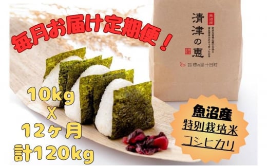 【通年受付】魚沼産特別栽培米コシヒカリ［清津の恵］精米10kg（5kgx2袋）全12回 十日町市 十日町 米