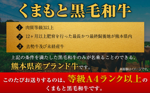 くまもと黒毛和牛 サーロイン リブロース ローススライス 600g 牛肉 冷凍 《30日以内に出荷予定(土日祝除く)》 くまもと黒毛和牛 黒毛和牛 スライス 肉 お肉 しゃぶしゃぶ肉 すきやき肉 熊本県 津奈木町