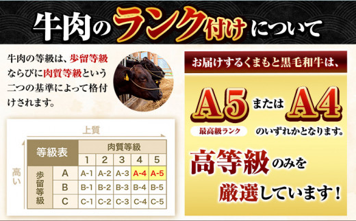 くまもと黒毛和牛 サーロイン リブロース ローススライス 600g 牛肉 冷凍 《30日以内に出荷予定(土日祝除く)》 くまもと黒毛和牛 黒毛和牛 スライス 肉 お肉 しゃぶしゃぶ肉 すきやき肉 熊本県 津奈木町