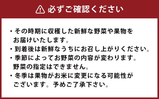 菊陽町特産品 「野菜・果物などの詰め合わせ」 ／ 新鮮 詰合せ フルーツ セット 熊本県 特産品