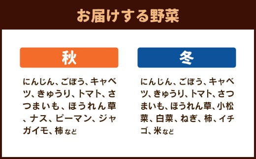 菊陽町特産品 「野菜・果物などの詰め合わせ」 ／ 新鮮 詰合せ フルーツ セット 熊本県 特産品