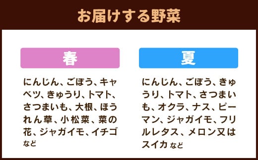 菊陽町特産品 「野菜・果物などの詰め合わせ」 ／ 新鮮 詰合せ フルーツ セット 熊本県 特産品