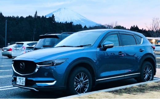 サイクロンアース CX-5・8用 ディーゼルエンジン車[ アースコード アースケーブル マツダ ディーゼル ]