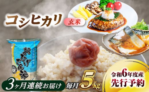 コシヒカリ 玄米 5kg×3回 定期便 新米 令和6年度産