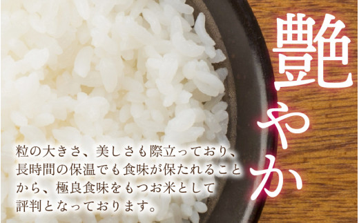 【3ヵ月定期便】【令和5年産】越前大野産 一等米 帰山農園の「つきあかり」2kg 合計6kg【8分づき】