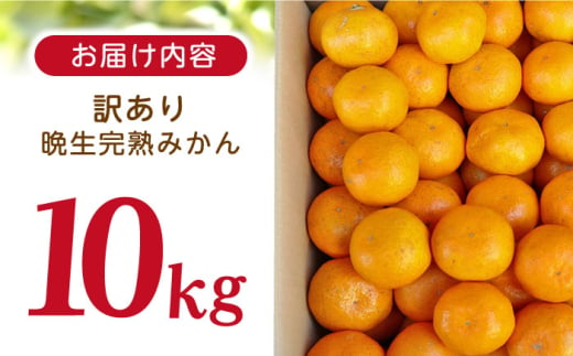 【訳あり】晩生完熟みかん10kg（ご自宅用） 長崎県/大将農園 [42AOAA023]　みかん 柑橘 オレンジ 果物 フルーツ ミカン 旬 くだもの 長崎 ながさき 長崎県 訳アリ