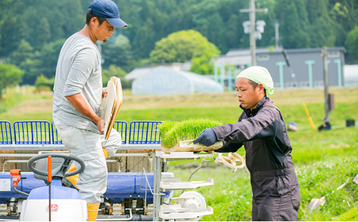 【令和5年産】日野町産 特別栽培米 コシヒカリ ・ にこまる 各5kg（計10kg）セット