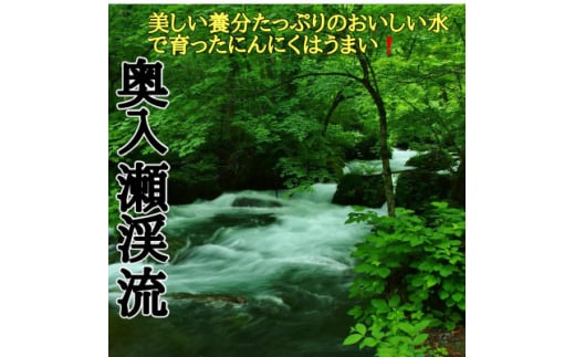 ＜月1000箱売れてる＞テレビ朝日1泊家族で紹介「にんにくの王様　白玉王」青森にんにく10玉【1551320】