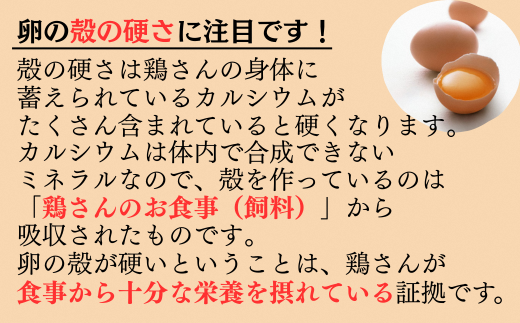 卵の殻が硬いということは、鶏さんが食事から十分な栄養を摂れている証拠です。