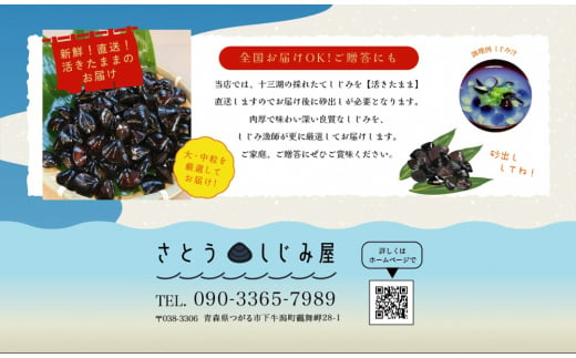 [令和7年3月第2日曜日配達] さとうしじみ屋の十三湖産活しじみ(大粒1kg)[冷蔵]｜十三湖産 青森 津軽 つがる しじみ みそ汁 味噌汁 しじみ汁 活しじみ 冷蔵 [0601]