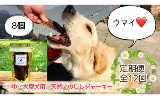 FB092 中～大型犬向け☆天然いのししスモークジャーキー8個【定期便】全12回