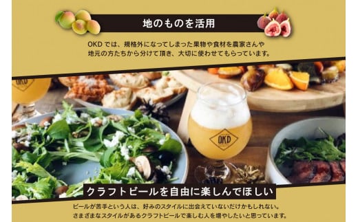 【お歳暮 内熨斗対応可能】OKD KOMINKA BREWING クラフトビールPLUM UME SAISON 3本セット＆オリジナルオープナー ／ お酒 愛知県 特産品