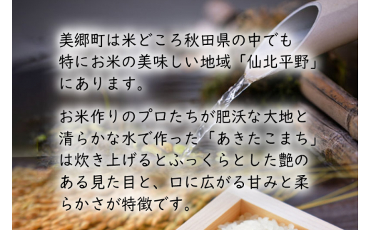 秋田県産 あきたこまち【玄米】30kg 令和4年産