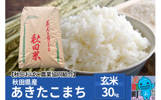 秋田県産 あきたこまち【玄米】30kg 令和4年産