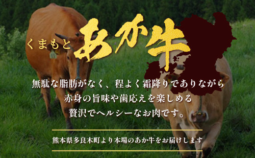 くまもとあか牛詰合せAセット《 切り落とし・ハンバーグ 》 計1.25kg 