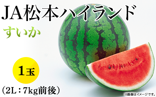 1811【2L】JA松本ハイランドすいか1玉 （約7kg）【2024年7月中旬～8月上旬発送】