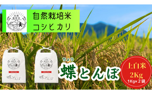 新米 自然栽培米 コシヒカリ 『蝶とんぼ』 上白米 2kg 茨城県産 桜川 米 お米 白米 コメ ごはん コシヒカリ こしひかり 国産 [AU002sa]