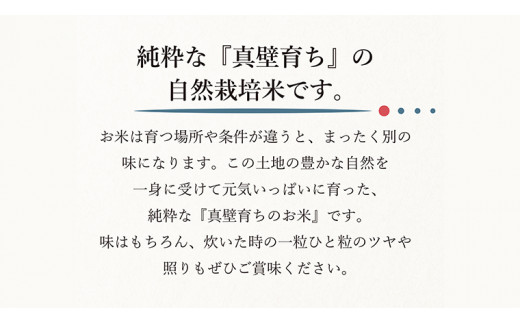 新米 自然栽培米 コシヒカリ 『蝶とんぼ』 上白米 2kg 茨城県産 桜川 米 お米 白米 コメ ごはん コシヒカリ こしひかり 国産 [AU002sa]