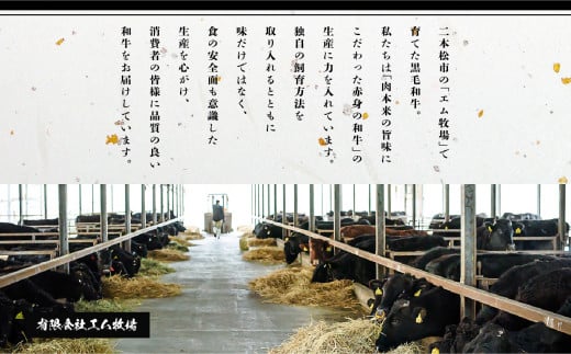 黒毛和牛 サーロイン ステーキ 2枚 計約 300g 福島県二本松市産 黒毛 和牛 厳選 肉 牛肉 牛 国産牛 国産 赤身 脂身 旨味 真空パック 急速冷凍 小分け エム牧場 人気 おすすめ ふるさと 納税 福島 ふくしま【コーシン】