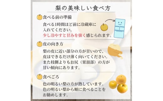 梨 新高 5kg 8～16玉 しろいの梨 白井中央梨選果場組合 予約受付