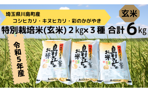 令和5年産【特別栽培米（玄米）】島村さんちの特別栽培米　3種類食べ比べセット（コシヒカリ キヌヒカリ 彩のかがやき 各2ｋｇ 合計6ｋｇ）減農薬 減化学肥料 玄米 米 埼玉県認証 食べ比べ 2023年産 川島町 埼玉