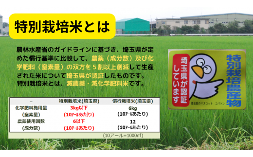 令和5年産【特別栽培米（玄米）】島村さんちの特別栽培米　3種類食べ比べセット（コシヒカリ キヌヒカリ 彩のかがやき 各2ｋｇ 合計6ｋｇ）減農薬 減化学肥料 玄米 米 埼玉県認証 食べ比べ 2023年産 川島町 埼玉