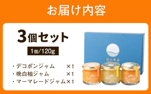 九州果実ジャム 熊本県セット 3個セット デコポンジャム 甘夏マーマレード 晩白柚ジャム 1個あたり120g《30日以内に出荷予定(土日祝日除く)》熊本県 水俣市 津奈木町 福田農場 ジャム マーマレード 柑橘 セット