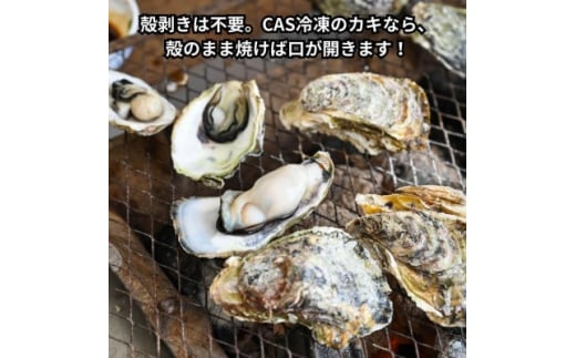 特上・篠島の殻付き真牡蠣1kgセット(生食用かき・CAS冷凍カキ)海鮮バーベキューBBQ、浜焼きに